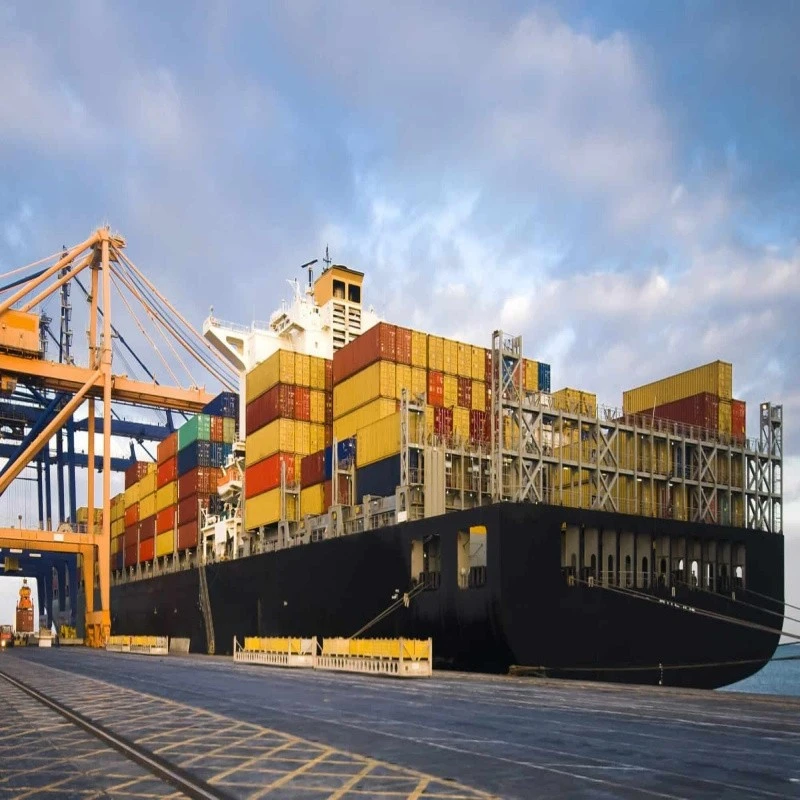 Sea Cargo International
